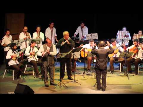 Obra compuesta especialmente para los flautistas Pierre Yves Artaud (Francia) y Alejandro Lavanderos (Chile), junto a la Orquesta Andina. Estrenada en el marco del XI Festival Internacional de Música Contemporánea Darwin Vargas, el 13 de octubre del 2014